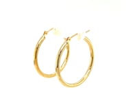10k Yellow Gold Polished Hoop Earrings (2x25mm) 9