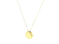 14k Yellow Gold Necklace with Dog Paw Print Symbol in Mother of Pearl 27