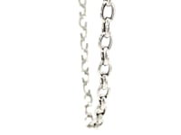 14k White Gold Oval Rolo Chain (4.6 mm) 20