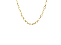 14k Yellow Gold Oval Rolo Chain (3.20 mm) 38