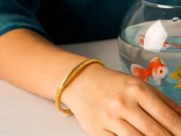 14k Yellow Gold Polished Cable Motif Bangle (5.00 mm) 2